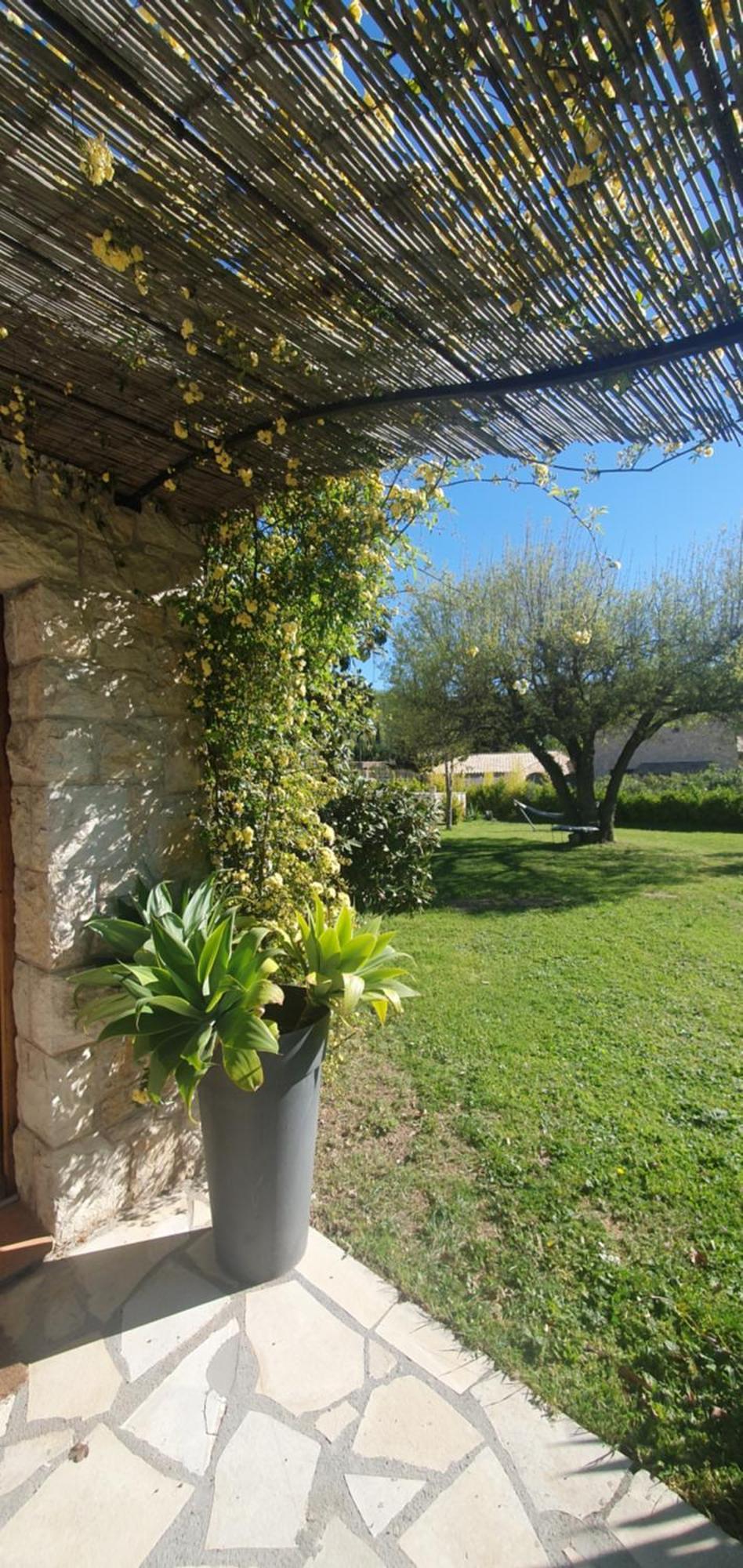 Chez Dom & Albert Saint-Cézaire-sur-Siagne Dış mekan fotoğraf